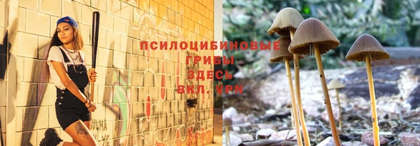 гашиш Абаза