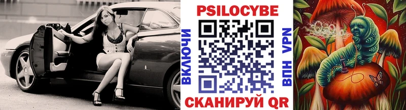Галлюциногенные грибы Psilocybine cubensis Чухлома